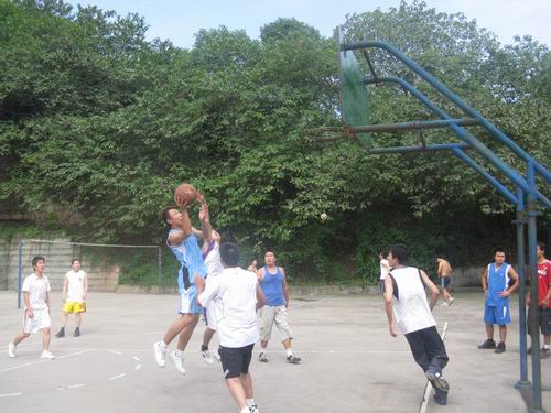 6t����(6TSPORTS)�����Źɷݹ�˾