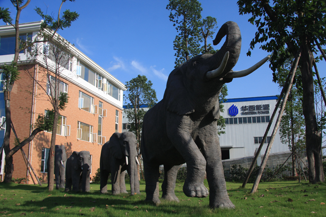 6t����(6TSPORTS)�����Źɷݹ�˾