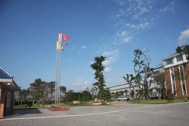 6t����(6TSPORTS)�����Źɷݹ�˾