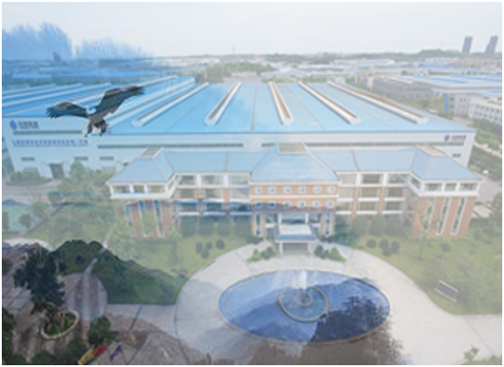 6t����(6TSPORTS)�����Źɷݹ�˾